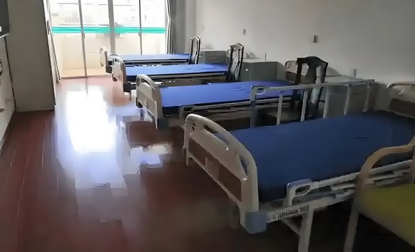 野百合的春天：梦里遇见爱